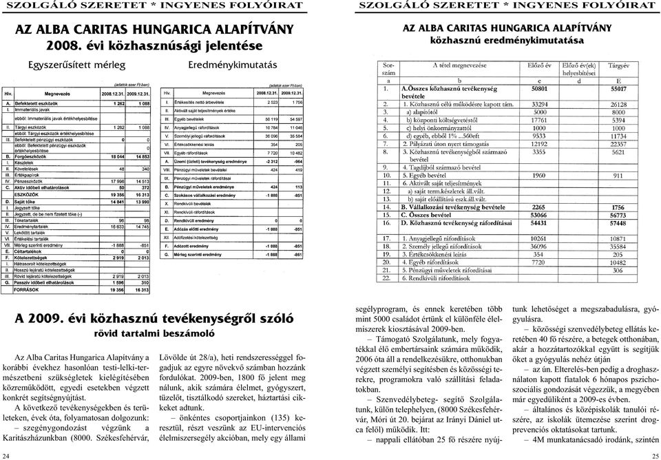 testi-lelki-természetbeni szükségletek kielégítésében közremûködött, egyedi esetekben végzett konkrét segítségnyújtást.