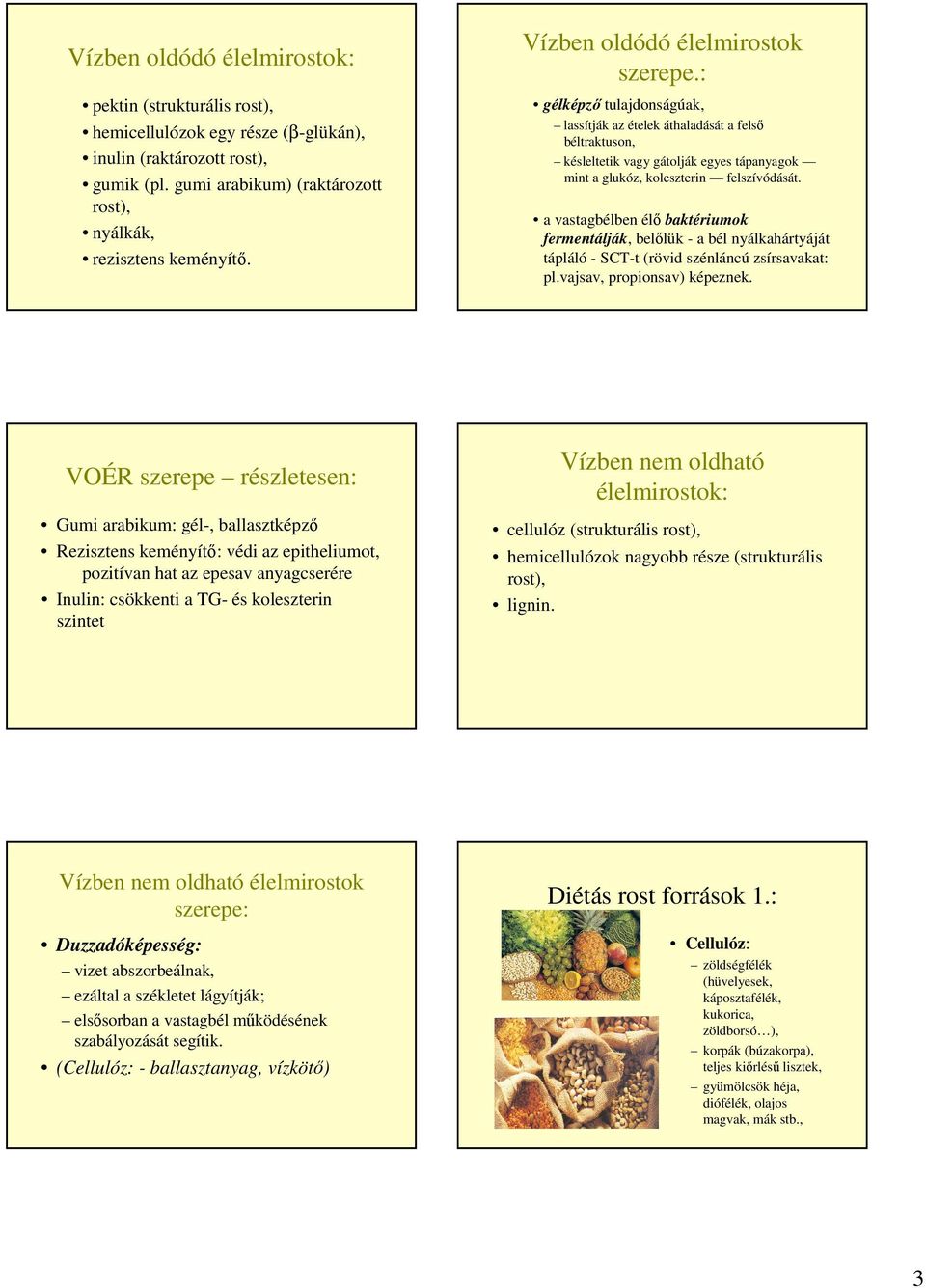 a vastagbélben élő baktériumok fermentálják, belőlük - a bél nyálkahártyáját tápláló - SCT-t (rövid szénláncú zsírsavakat: pl.vajsav, propionsav) képeznek.