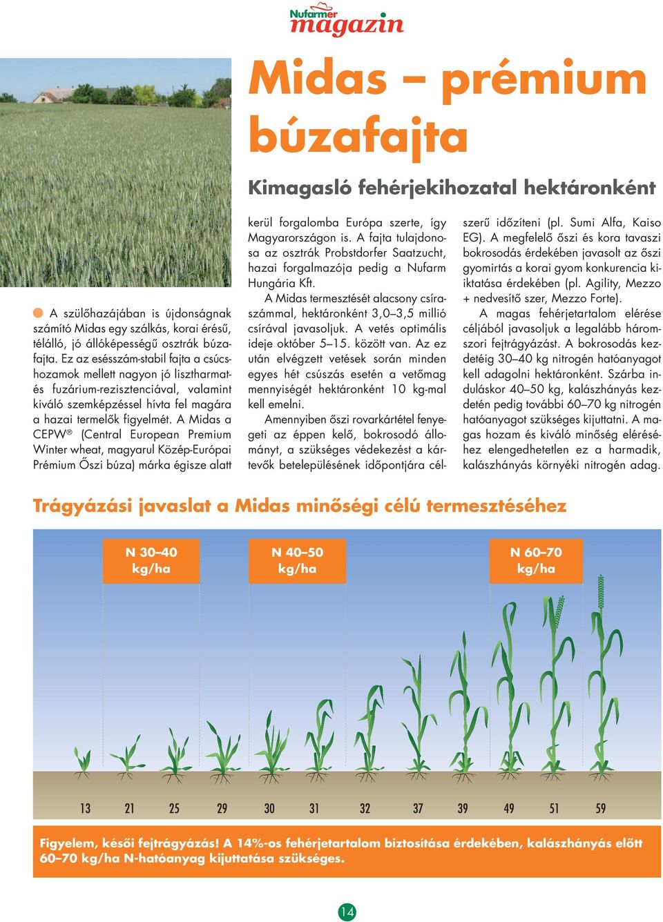 A Midas a CEPW (Central European Premium Winter wheat, magyarul Közép-Európai Prémium Ôszi búza) márka égisze alatt kerül forgalomba Európa szerte, így Magyarországon is.