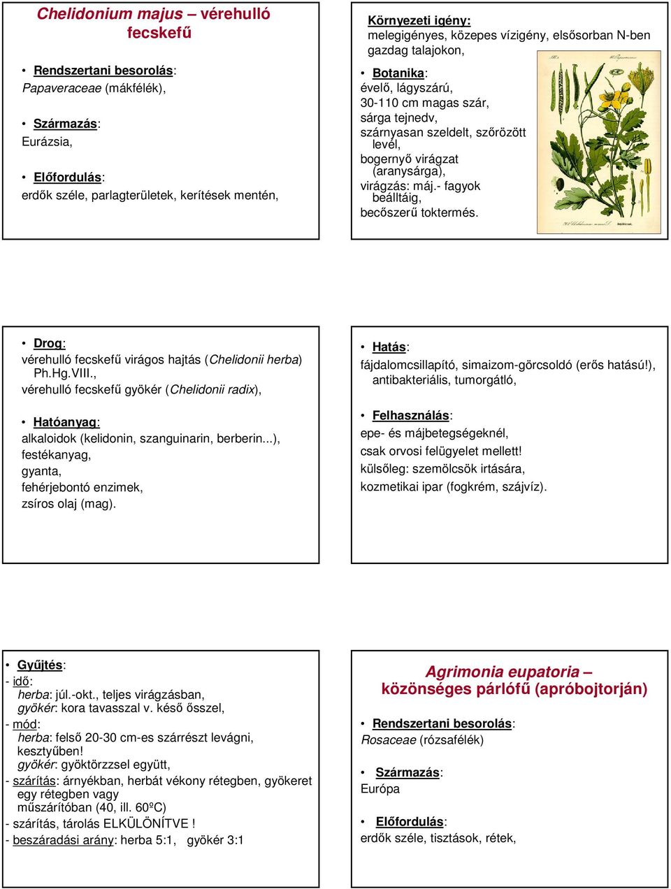vérehulló fecskefő virágos hajtás (Chelidonii herba) Ph.Hg.VIII., vérehulló fecskefő gyökér (Chelidonii radix), alkaloidok (kelidonin, szanguinarin, berberin.