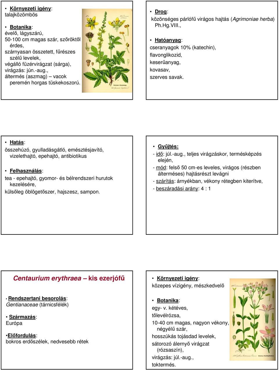 , cseranyagok 10% (katechin), flavonglikozid, keserőanyag, kovasav, szerves savak.