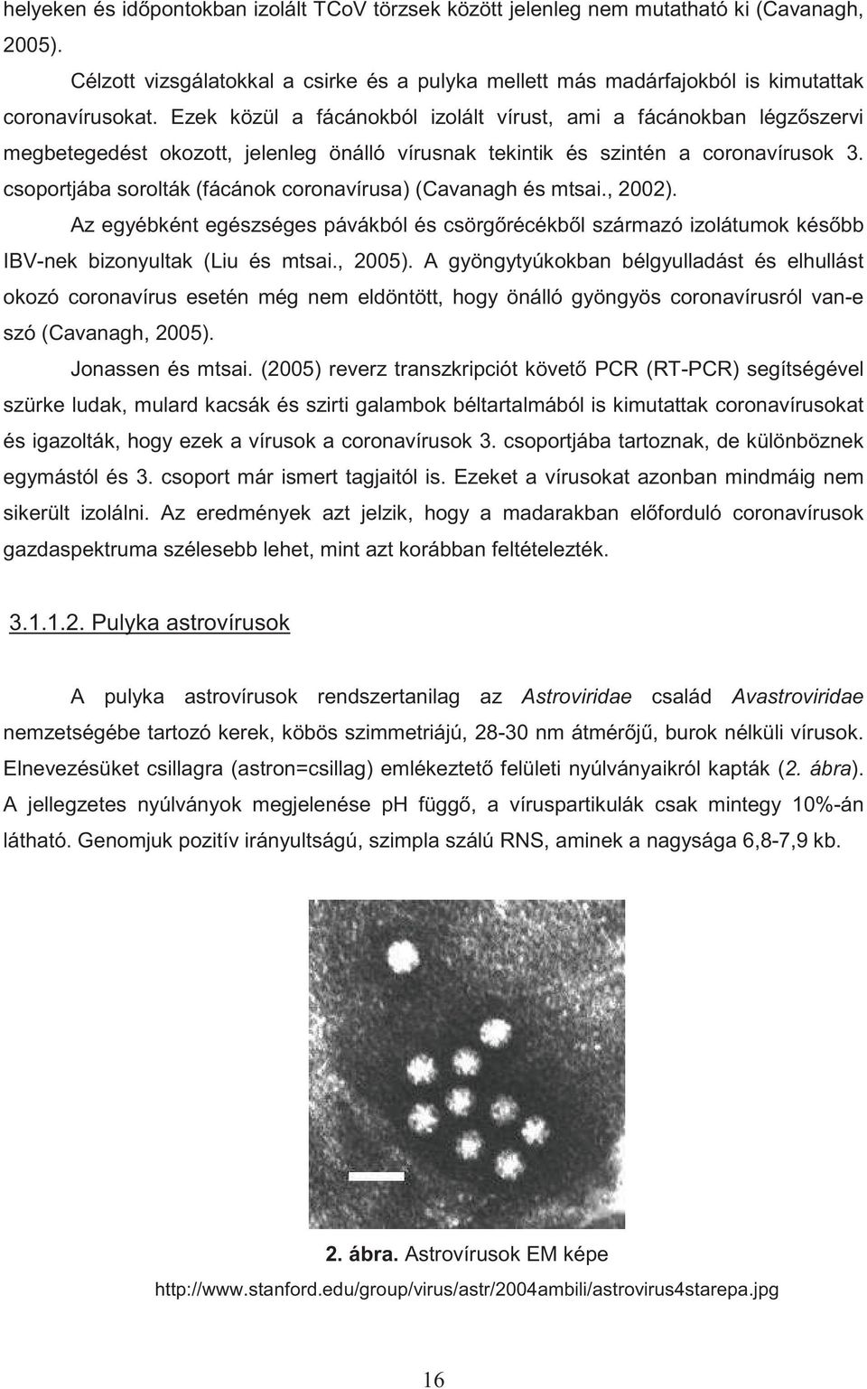 csoportjába sorolták (fácánok coronavírusa) (Cavanagh és mtsai., 2002). Az egyébként egészséges pávákból és csörg récékb l származó izolátumok kés bb IBV-nek bizonyultak (Liu és mtsai., 2005).