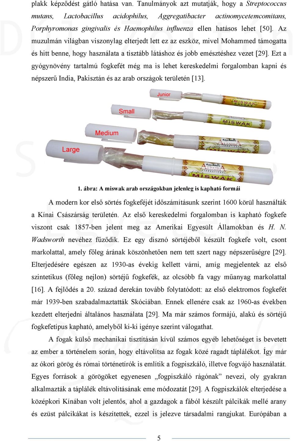 Az muzulmán világban viszonylag elterjedt lett ez az eszköz, mivel Mohammed támogatta és hitt benne, hogy használata a tisztább látáshoz és jobb emésztéshez vezet [29].