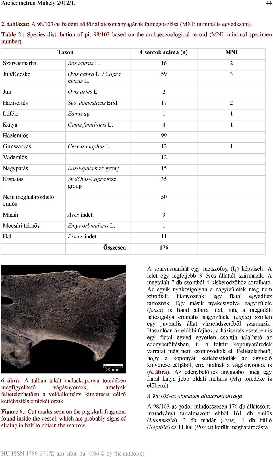 / Capra hircus L. Juh Ovis aries L. 2 59 3 Házisertés Sus domesticus Erxl. 17 2 Lóféle Equus sp. 1 1 Kutya Canis familiaris L. 4 1 Háziemlős 99 Gímszarvas Cervus elaphus L.