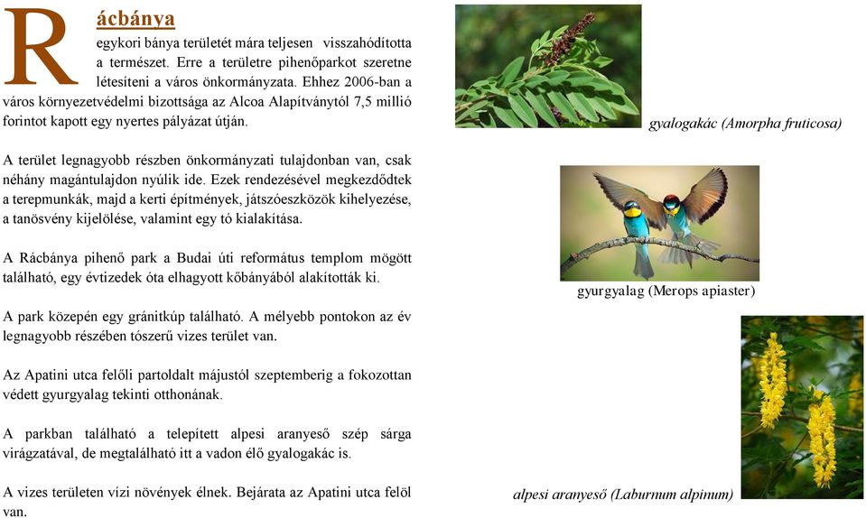 gyalogakác (Amorpha fruticosa) A terület legnagyobb részben önkormányzati tulajdonban van, csak néhány magántulajdon nyúlik ide.