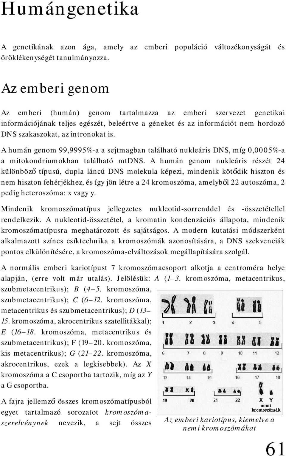 A humán genom 99,9995%-a a sejtmagban található nukleáris DNS, míg 0,0005%-a a mitokondriumokban található mtdns.