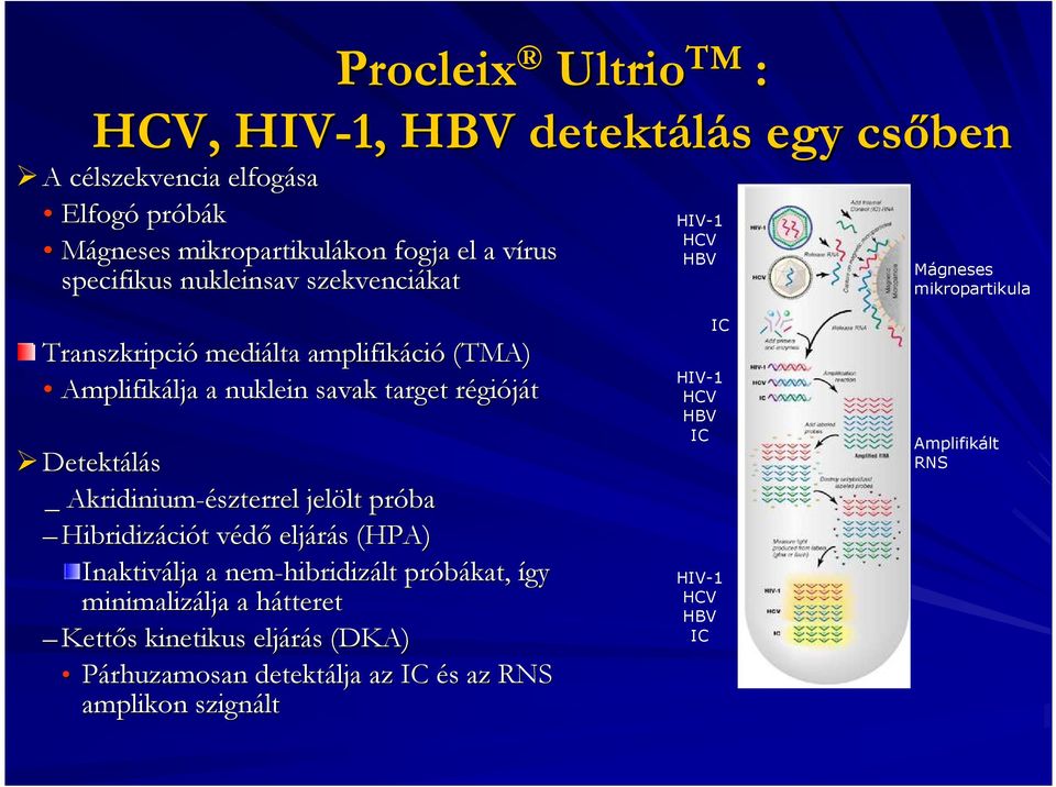 target régióját Detektálás _ Akridinium-észterrel jelölt lt próba Hibridizáci ciót t védıv eljárás (HPA) Inaktiválja a nem-hibridiz hibridizált próbákat, így