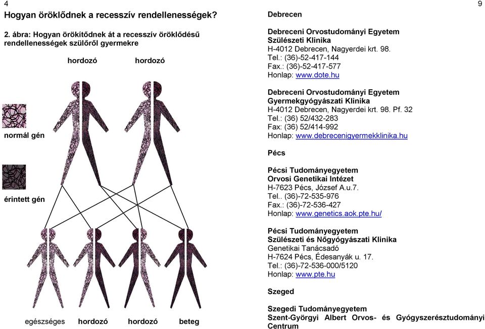 Debrecen, Nagyerdei krt. 98. Tel.: (36)-52-417-144 Fax.: (36)-52-417-577 Honlap: www.dote.hu Debreceni Orvostudományi Egyetem Gyermekgyógyászati Klinika H-4012 Debrecen, Nagyerdei krt. 98. Pf. 32 Tel.