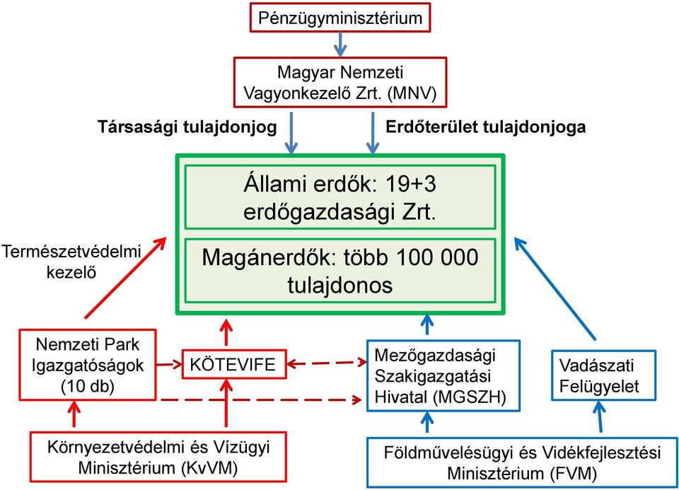 Természetvédelmi kezelő Magánerdők: több 100 000 tulajdonos Nemzeti Park Igazgatóságok (10 db) KÖTEVIFE