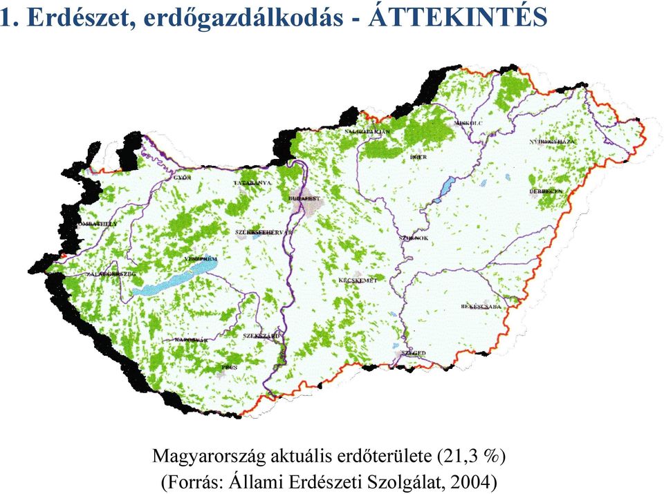 aktuális erdőterülete (21,3 %)