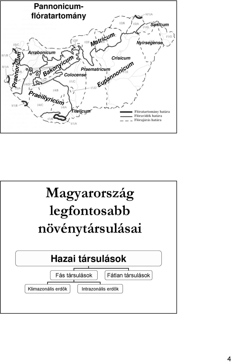 Nyirsegense Titelicum Magyarország legfontosabb növénytársulásai Hazai