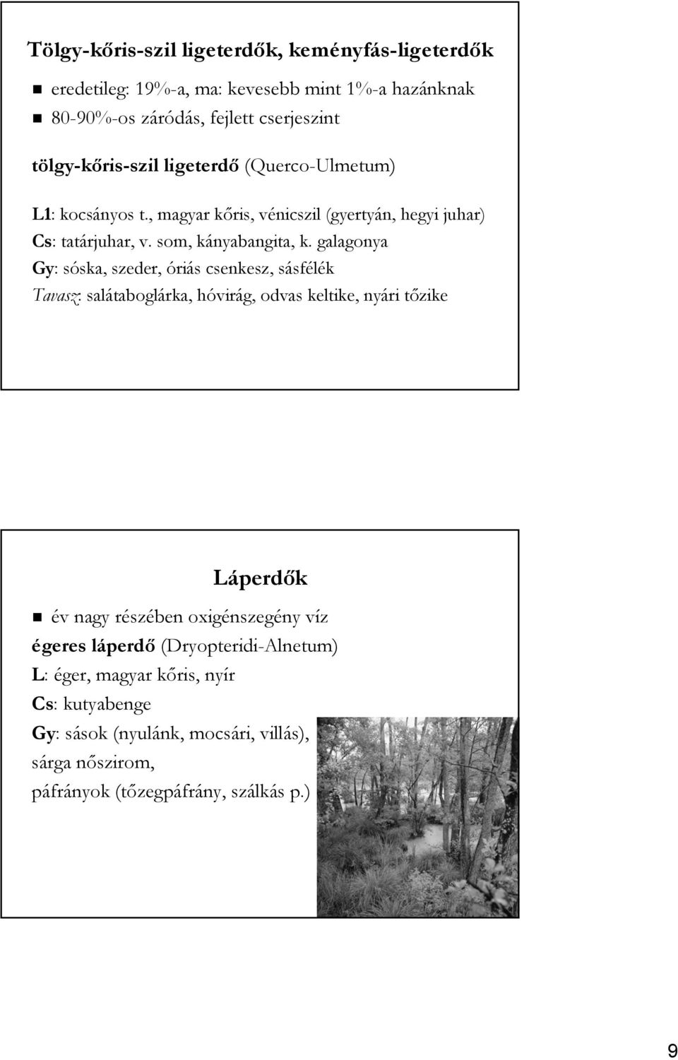 galagonya Gy: sóska, szeder, óriás csenkesz, sásfélék Tavasz: salátaboglárka, hóvirág, odvas keltike, nyári tőzike Láperdők év nagy részében oxigénszegény víz