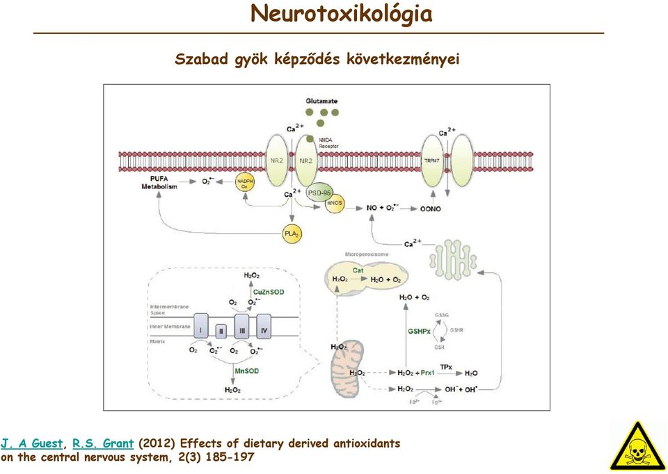 Grant (2012) Effects of dietary