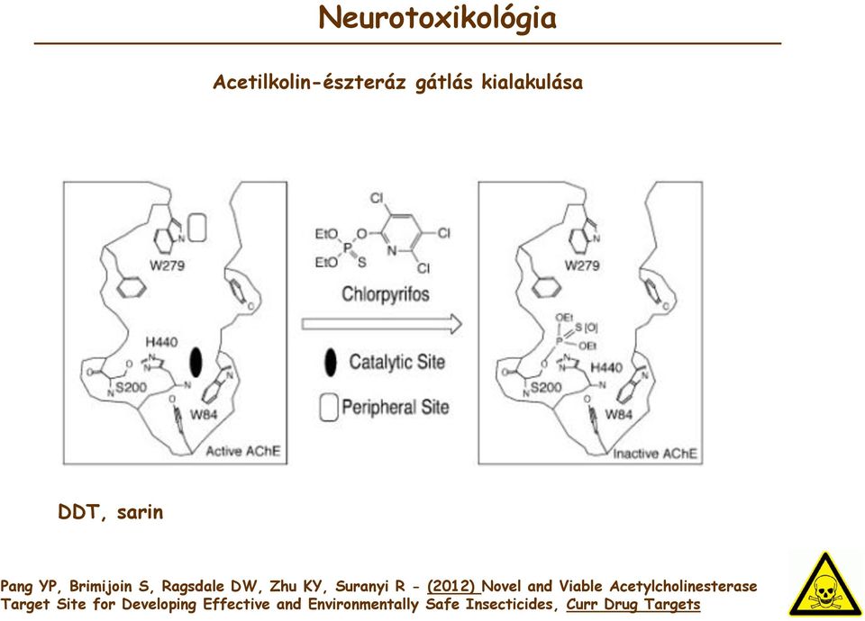 and Viable Acetylcholinesterase Target Site for Developing