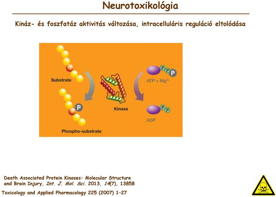 Molecular Structure and Brain Injury, Int. J. Mol. Sci.