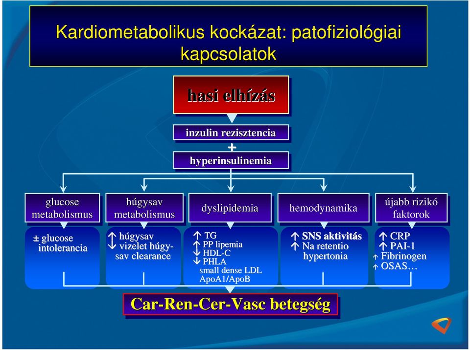 húgyh gy- sav clearance dyslipidemia TG PP lipemia HDL-C PHLA small dense LDL ApoA1/ApoB hemodynamika SNS