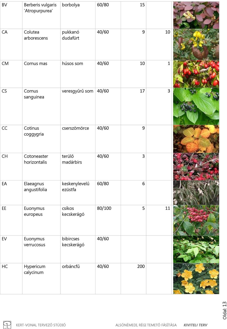 Cotoneaster horizontalis terülő madárbirs 40/60 3 EA Elaeagnus angustifolia keskenylevelű ezüstfa 60/80 6 EE Euonymus