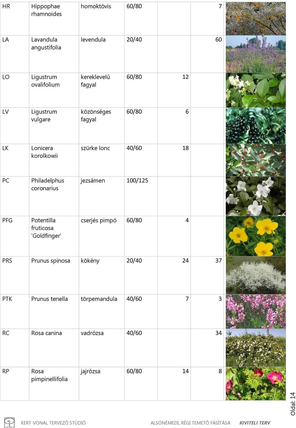 coronarius jezsámen 100/125 PFG Potentilla fruticosa 'Goldfinger' cserjés pimpó 60/80 4 PRS Prunus spinosa kökény 20/40 24 37