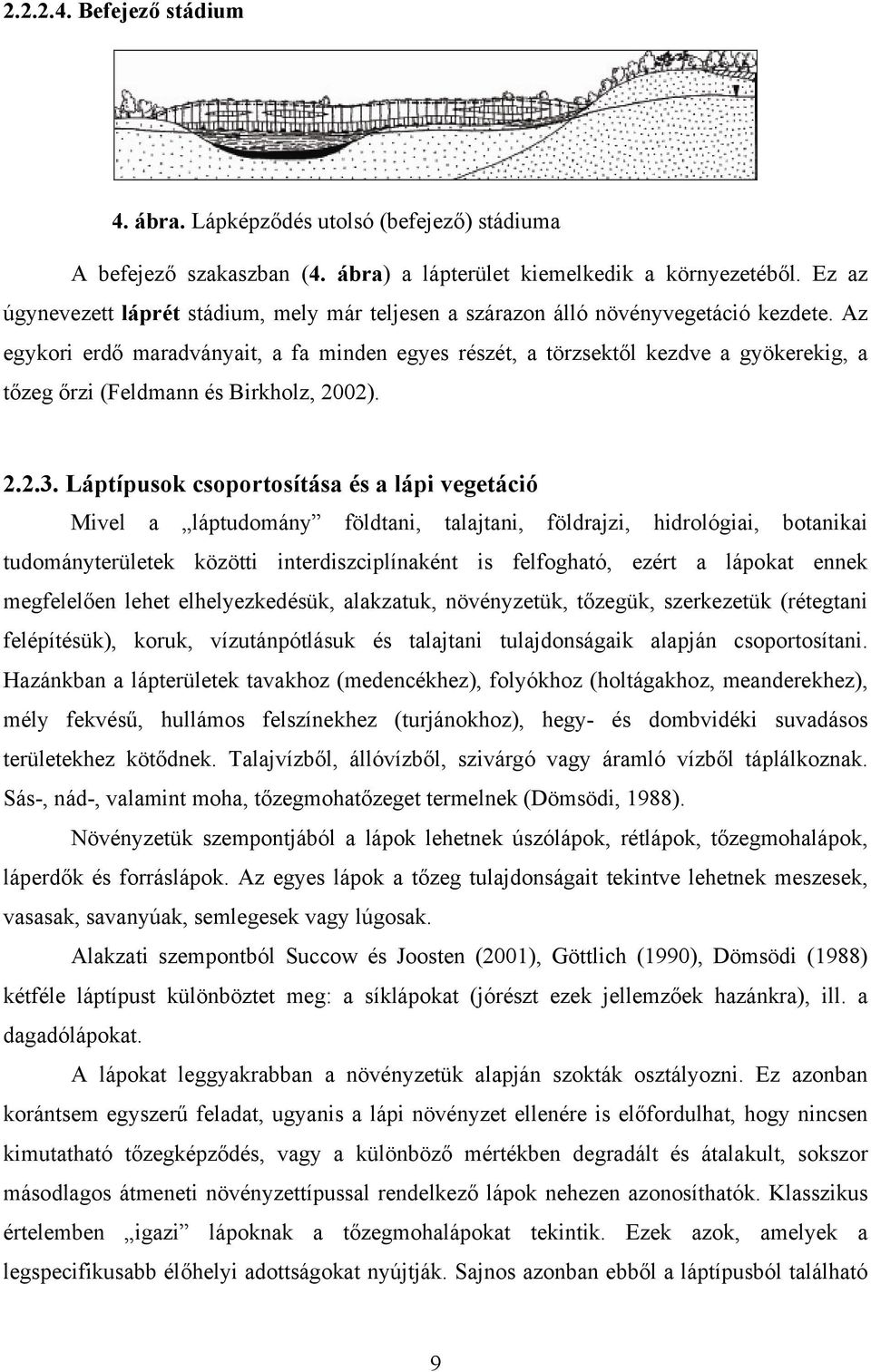 Az egykori erdő maradványait, a fa minden egyes részét, a törzsektől kezdve a gyökerekig, a tőzeg őrzi (Feldmann és Birkholz, 2002). 2.2.3.