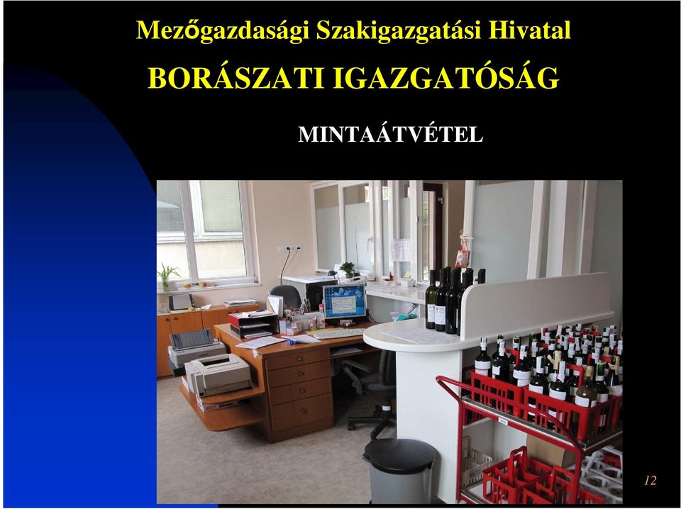 BORÁSZATI IGAZGATÓSÁG