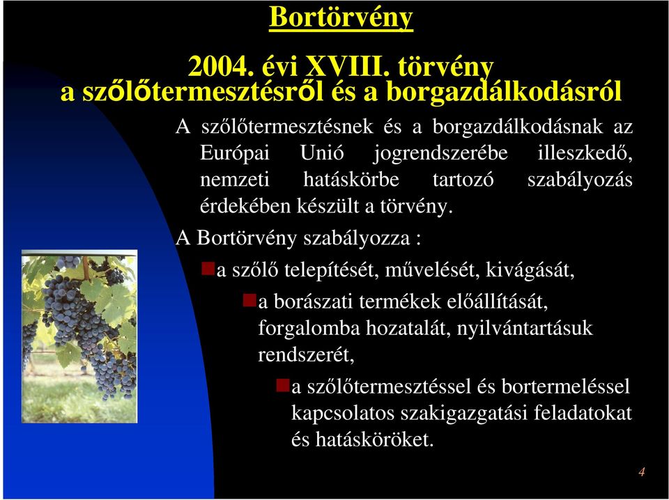 illeszkedő, nemzeti hatáskörbe tartozó szabályozás érdekében készült a törvény.