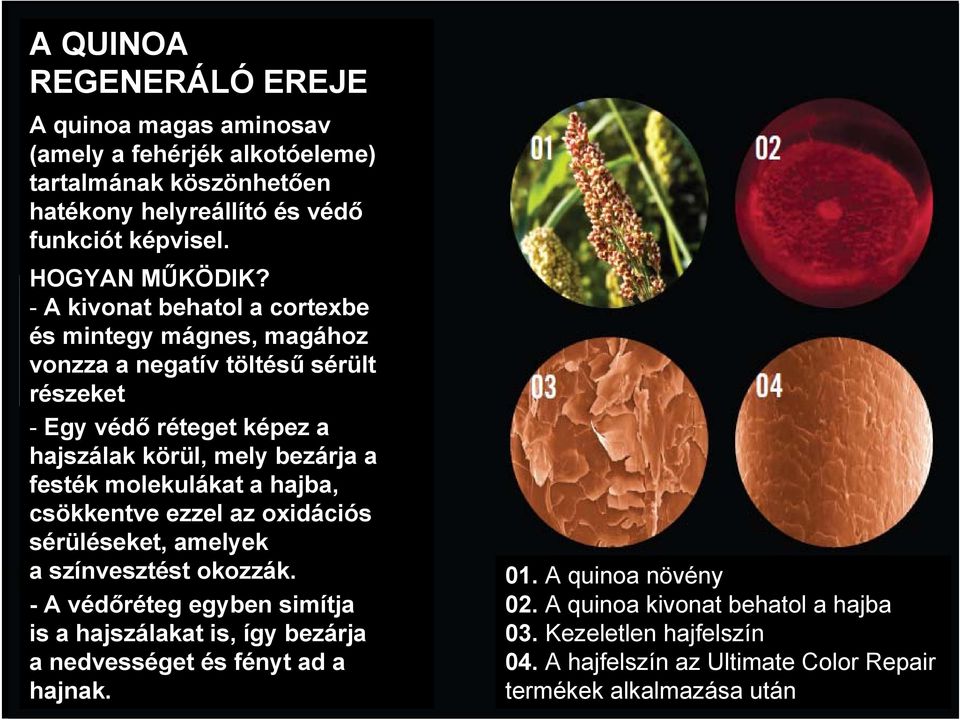 molekulákat a hajba, csökkentve ezzel az oxidációs sérüléseket, amelyek a színvesztést okozzák.