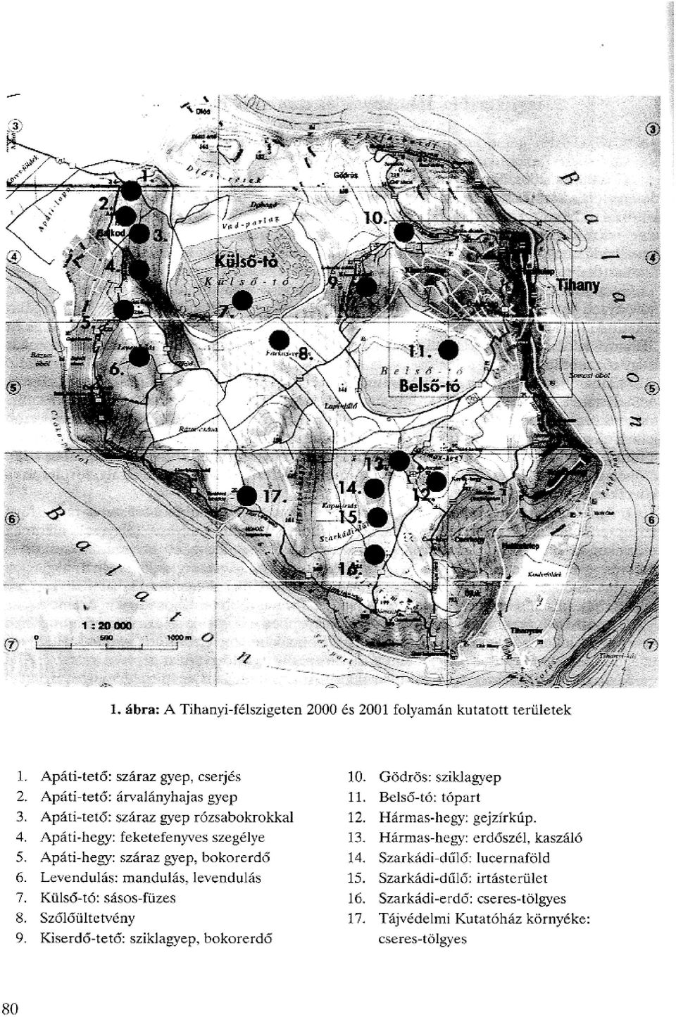 Apati-hegy: feketefenyves szegelye Harrnas-heff; ercldszel, kaszalo Apati-he: szaraz gyep, bokorerdo 14. Szark6cli-dCilf.5: luoernafold 6.