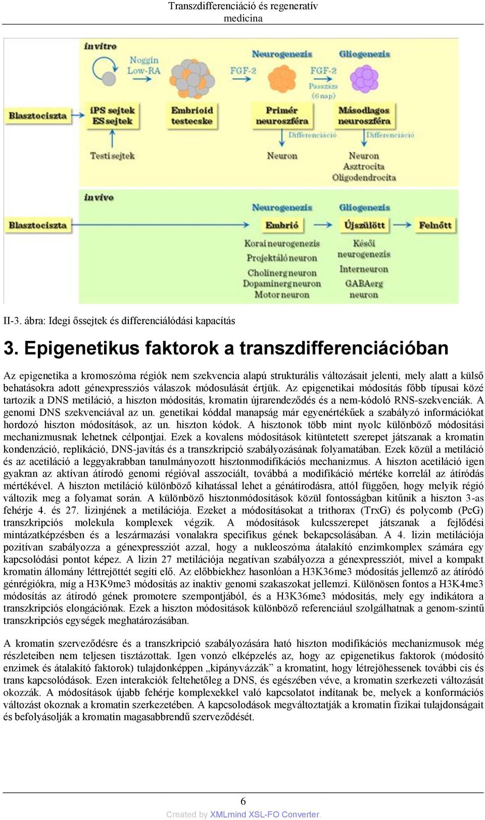 módosulását értjük. Az epigenetikai módosítás főbb típusai közé tartozik a DNS metiláció, a hiszton módosítás, kromatin újrarendeződés és a nem-kódoló RNS-szekvenciák.