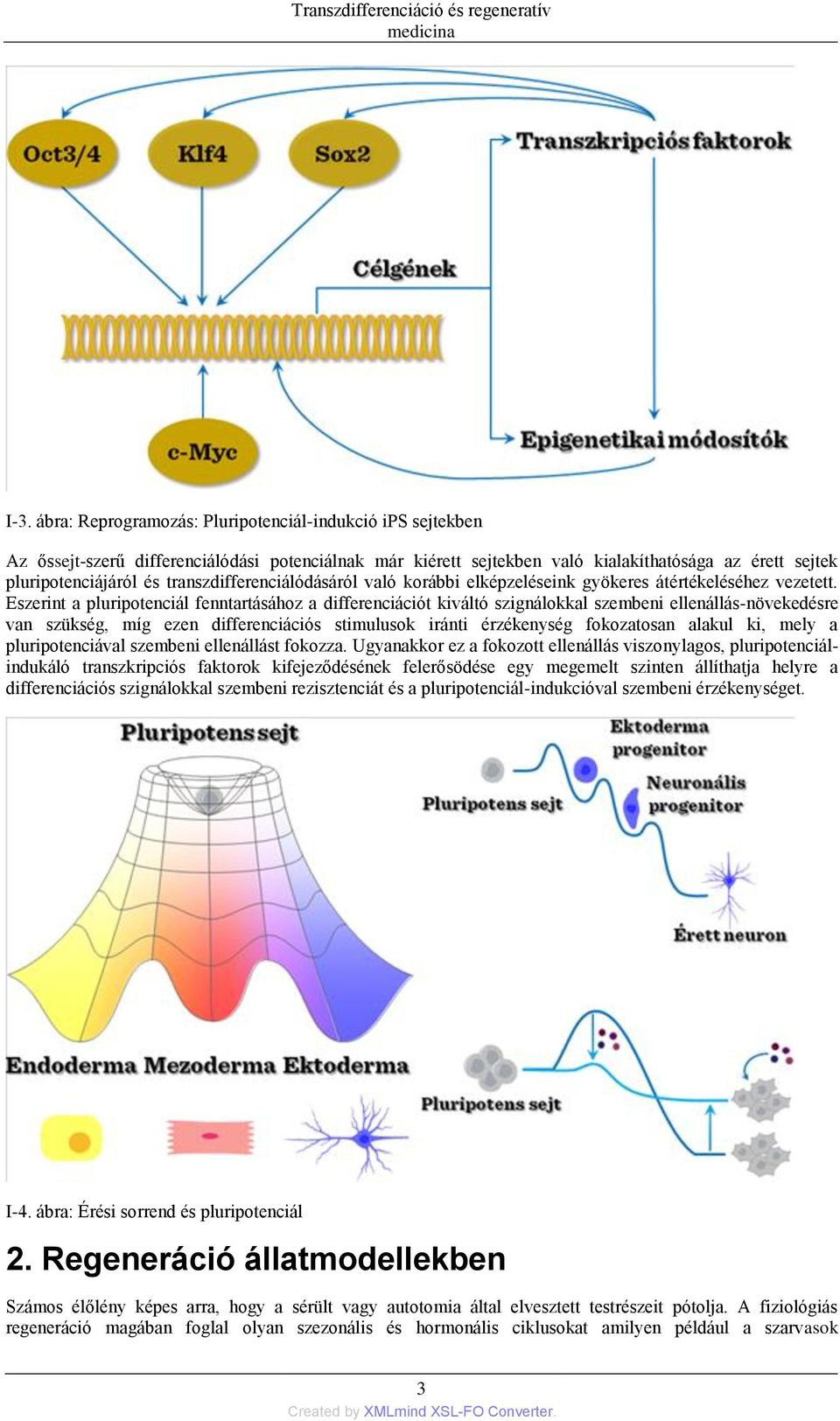 Eszerint a pluripotenciál fenntartásához a differenciációt kiváltó szignálokkal szembeni ellenállás-növekedésre van szükség, míg ezen differenciációs stimulusok iránti érzékenység fokozatosan alakul