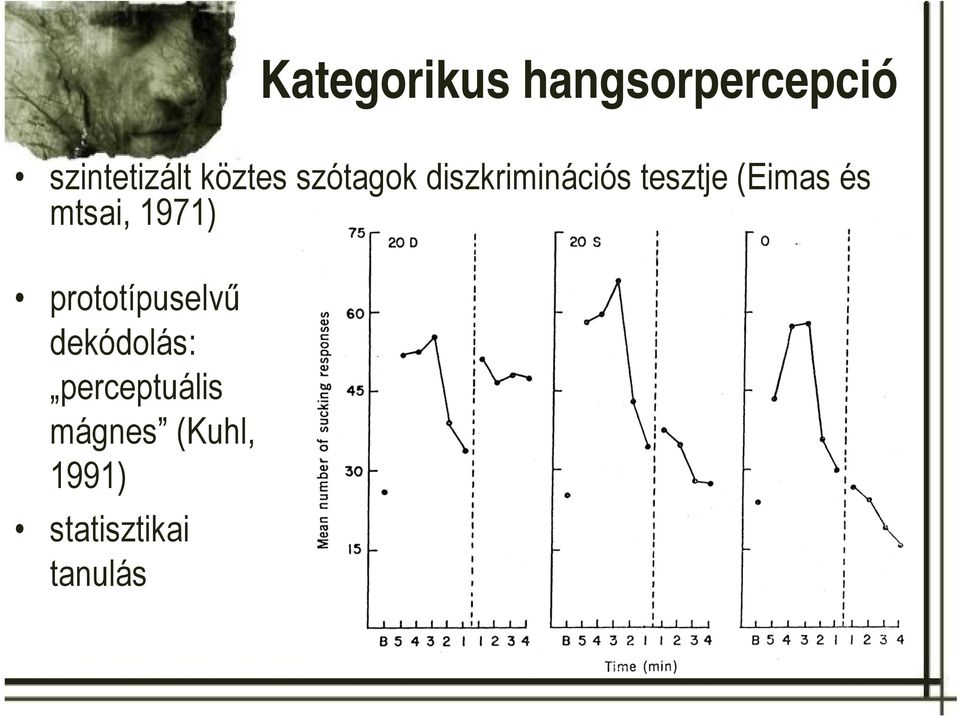 hangsorpercepció szintetizált köztes szótagok