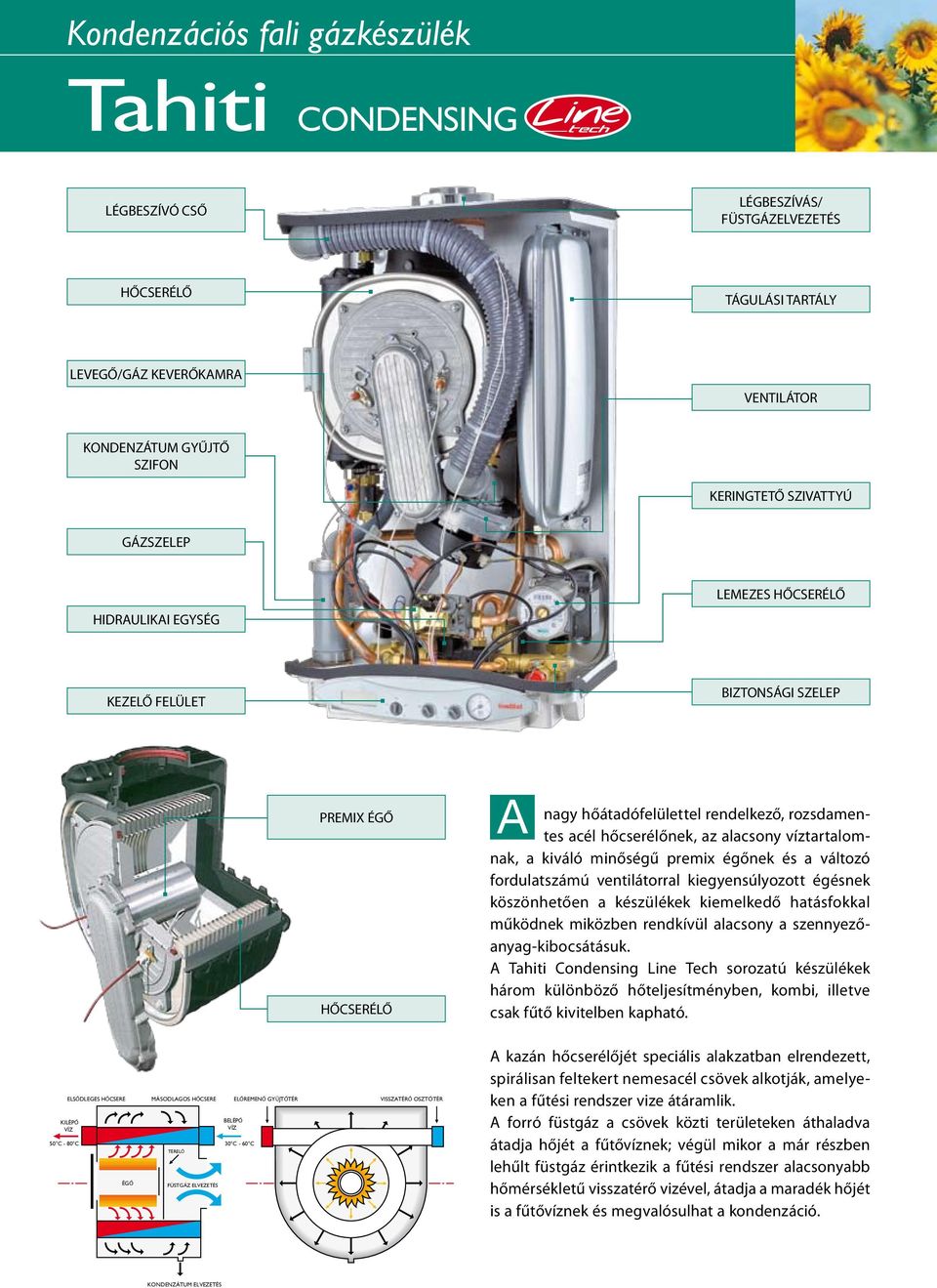 víztartalomnak, a kiváló minőségű premix égőnek és a változó fordulatszámú ventilátorral kiegyensúlyozott égésnek köszönhetően a készülékek kiemelkedő hatásfokkal működnek miközben rendkívül alacsony