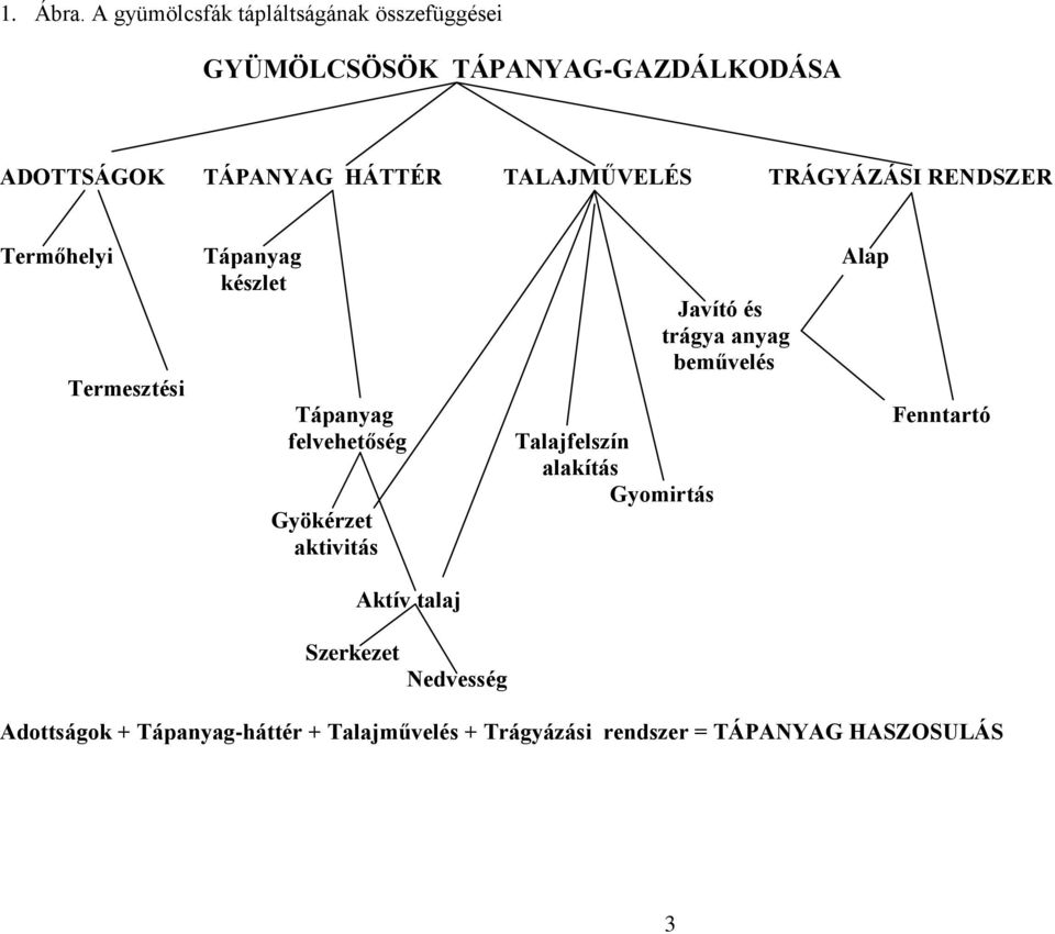 TALAJMŰVELÉS TRÁGYÁZÁSI RENDSZER Termőhelyi Tápanyag Alap készlet Javító és trágya anyag beművelés