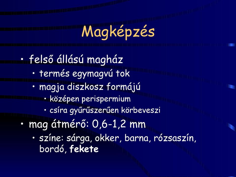 gyűrűszerűen körbeveszi mag átmérő: 0,6-1,2 mm