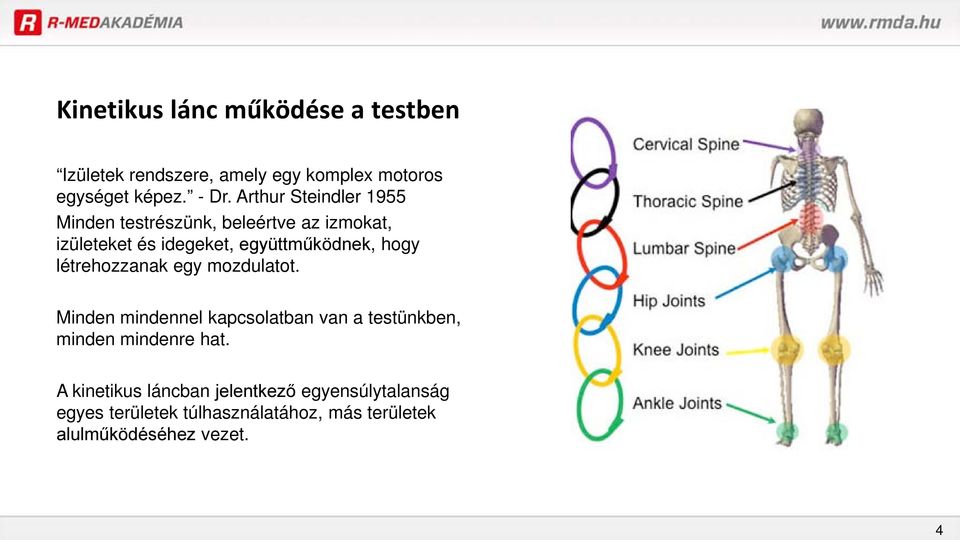 hogy létrehozzanak egy mozdulatot. Minden mindennel kapcsolatban van a testünkben, minden mindenre hat.