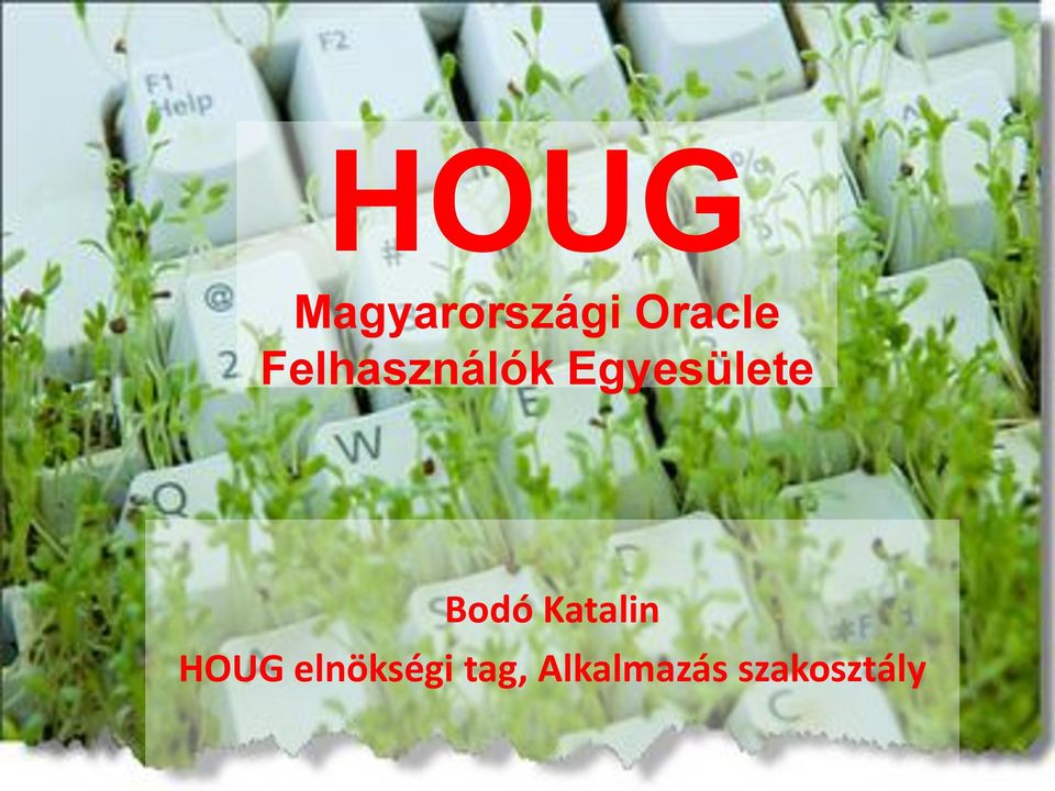 Bodó Katalin HOUG