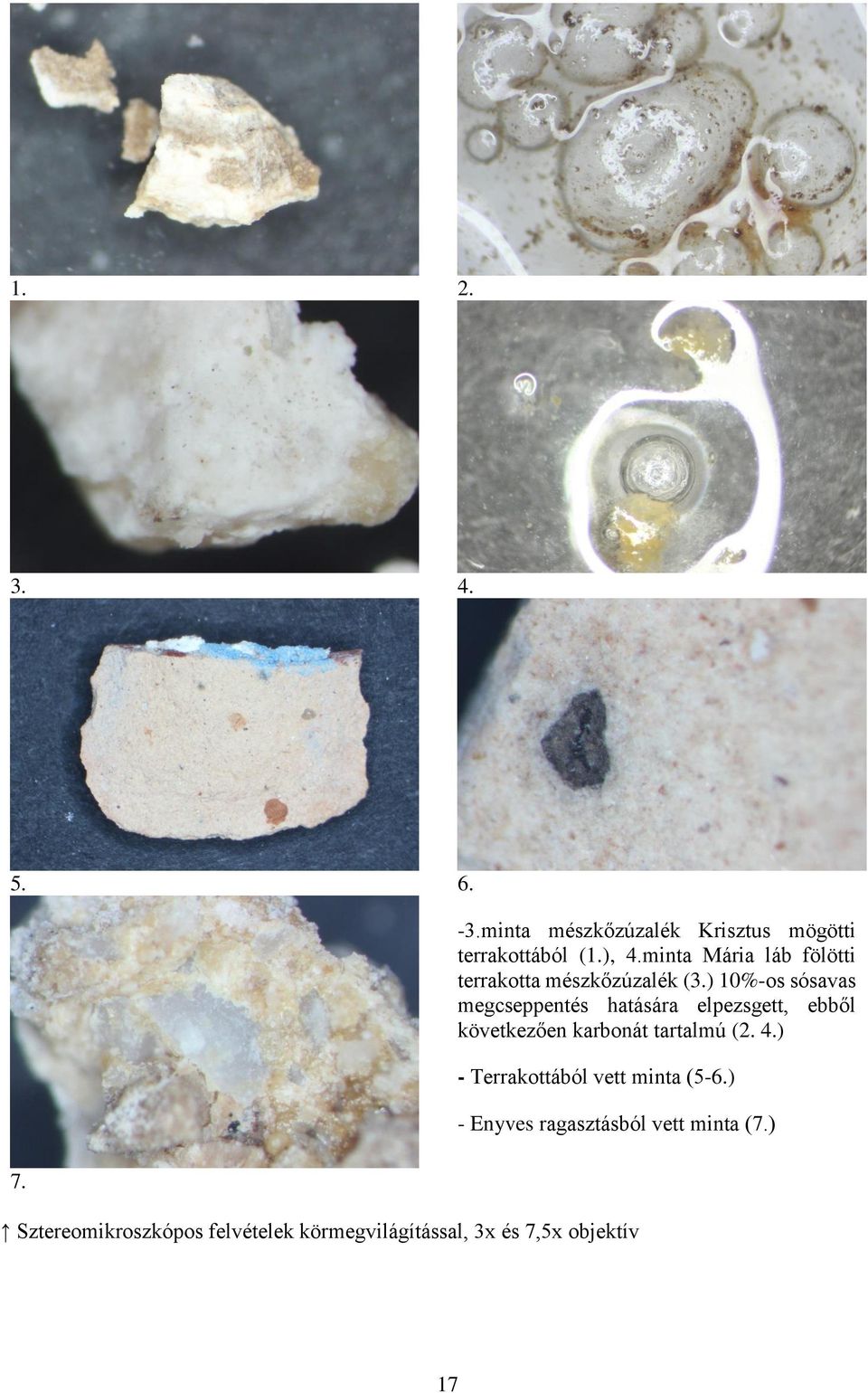 ) 10%-os sósavas megcseppentés hatására elpezsgett, ebből következően karbonát tartalmú (2. 4.