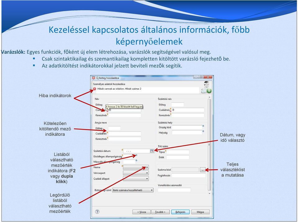 Az adatkitöltést indikátorokkal jelzett beviteli mezők segítik.