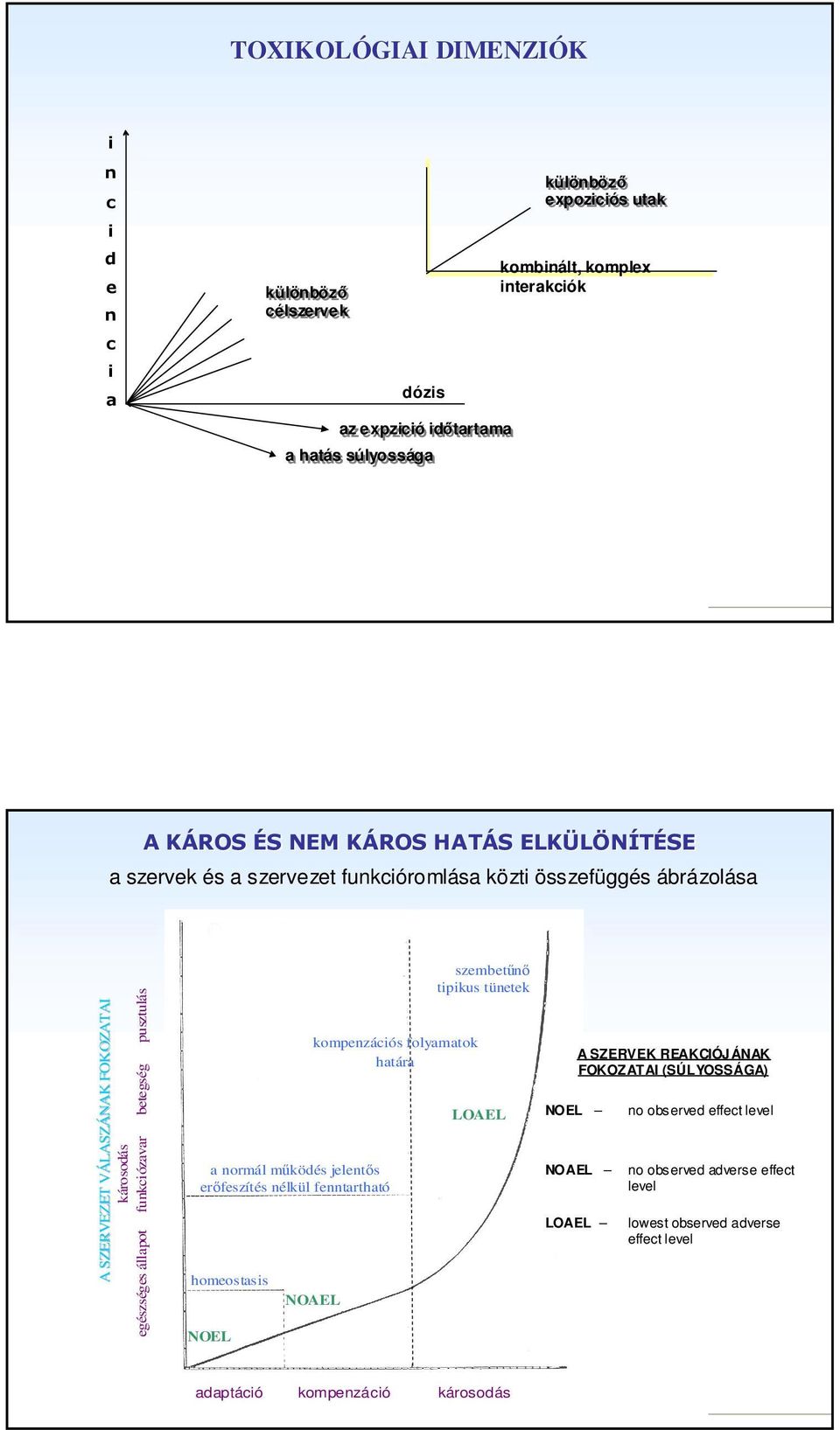 betegség pusztulás a normál működés jelentős erőfeszítés nélkül fenntartható homeostasis NOEL kompenzációs folyamatok határa NOAEL szembetűnő tipikus tünetek LOAEL A SZERVEK