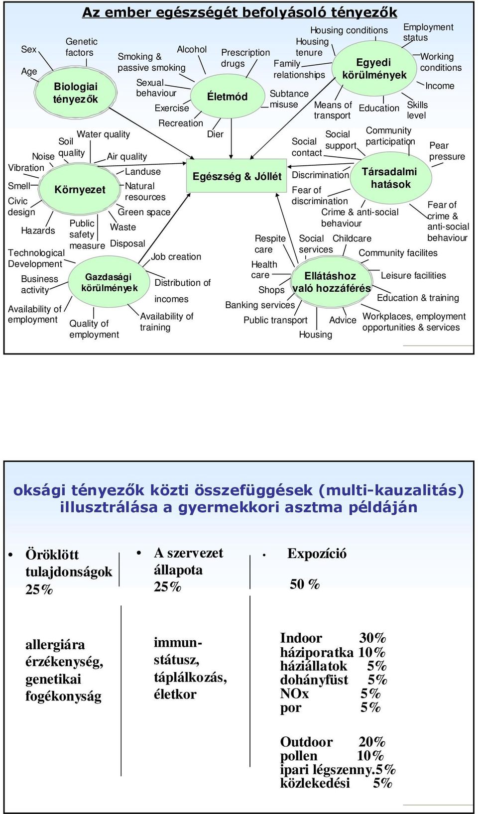 behaviour Exercise Recreation Dier Disposal Job creation Distribution of incomes Availability of training Prescription tenure drugs Family relationships Életmód Egészség & Jóllét Respite care Health