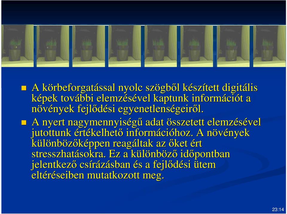 A nyert nagymennyiségű adat összetett elemzésével jutottunk értékelhető informáci cióhoz.