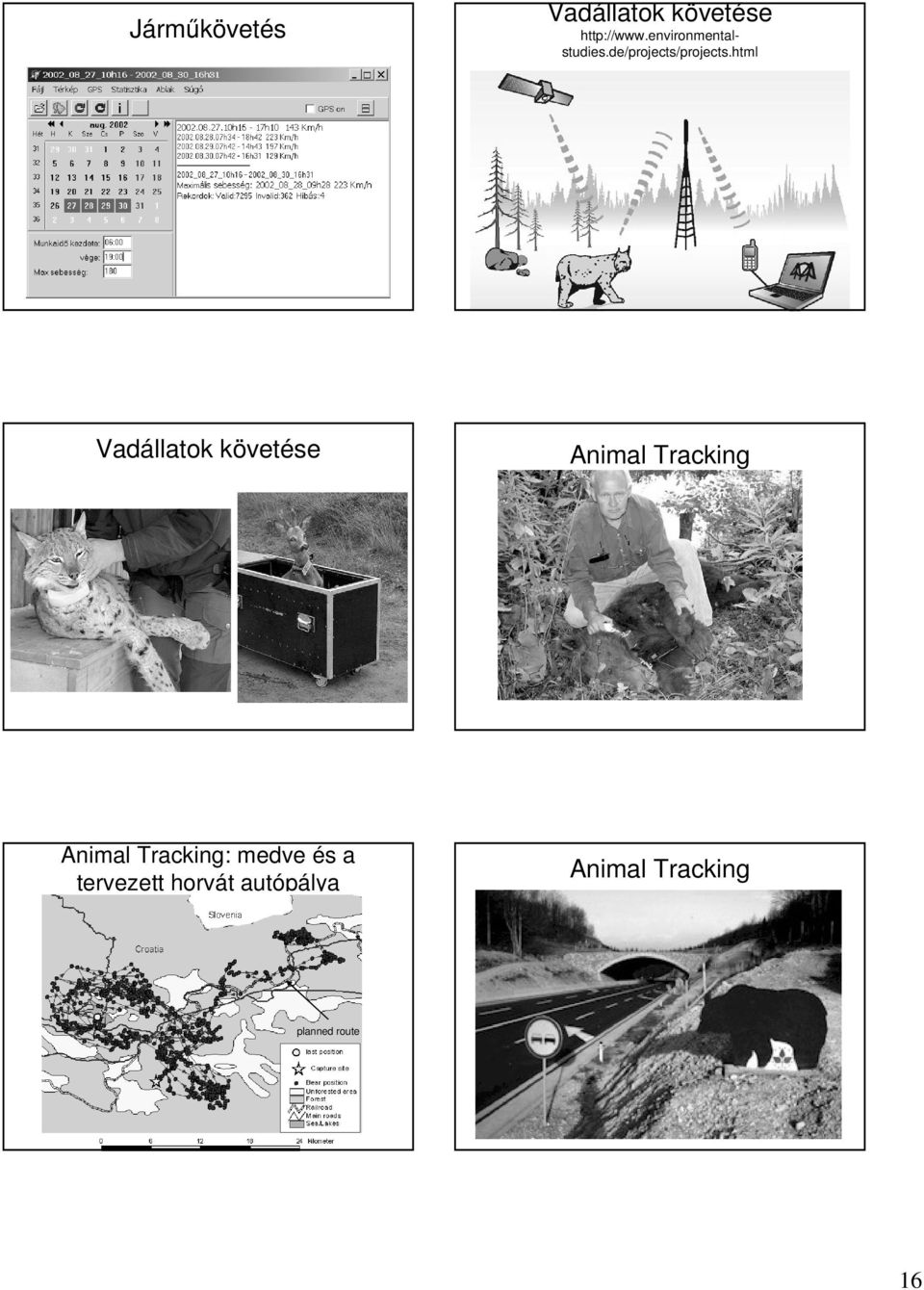 html Vadállatok követése Animal Tracking Animal