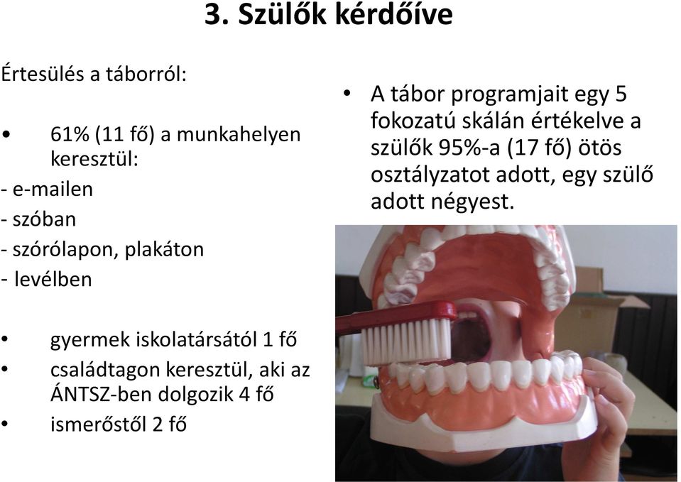 értékelve a szülők 95%-a (17 fő) ötös osztályzatot adott, egy szülő adott négyest.