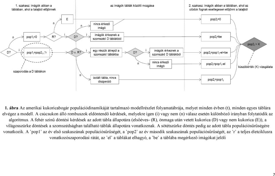 A fehér színű döntési kérdések az adott tábla állapotára (elsőéves- (R), önmaga után vetett kukorica (D) vagy nem kukorica (E)), a világosszürke döntések a szomszédságban található táblák állapotára