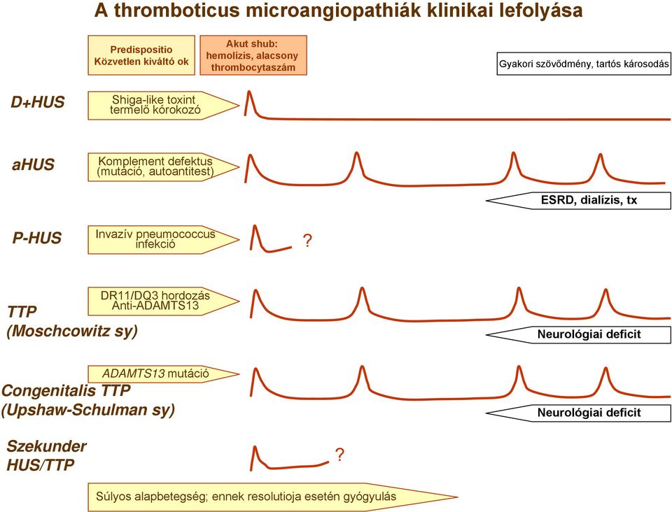 dialízis, tx P-HUS Invazív pneumococcus infekció?