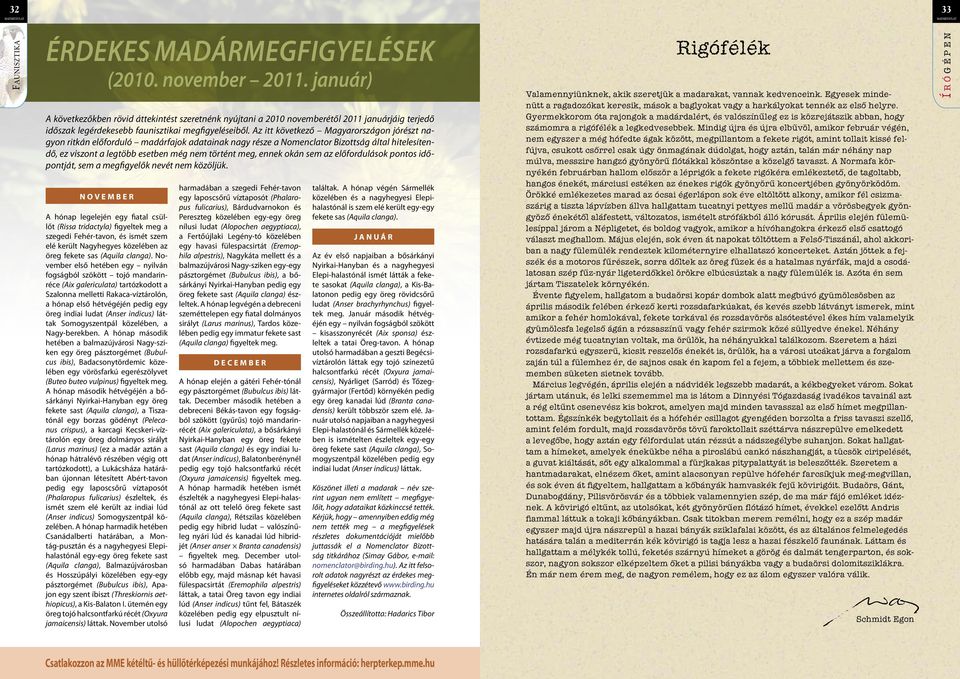 Az itt következő Magyarországon jórészt nagyon ritkán előforduló madárfajok adatainak nagy része a Nomenclator Bizottság által hitelesítendő, ez viszont a legtöbb esetben még nem történt meg, ennek