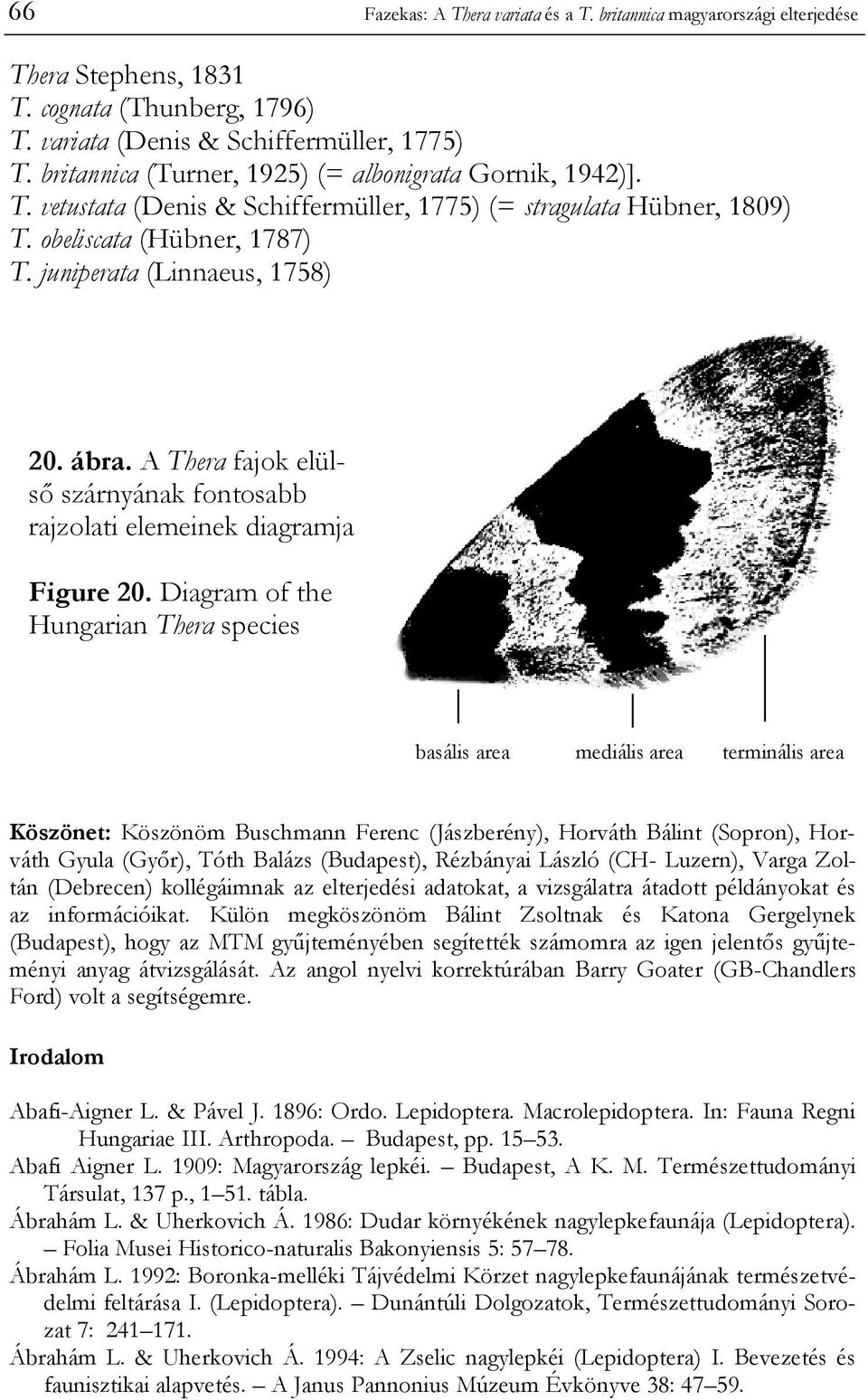 A Thera fajok elülső szárnyának fontosabb rajzolati elemeinek diagramja Figure 20.