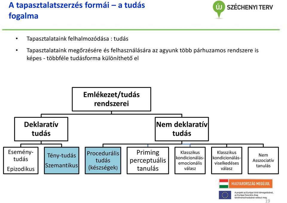 Deklaratív tudás Nem deklaratív tudás Eseménytudás Epizodikus Tény-tudás Szemantikus Procedurális tudás (készségek) Priming