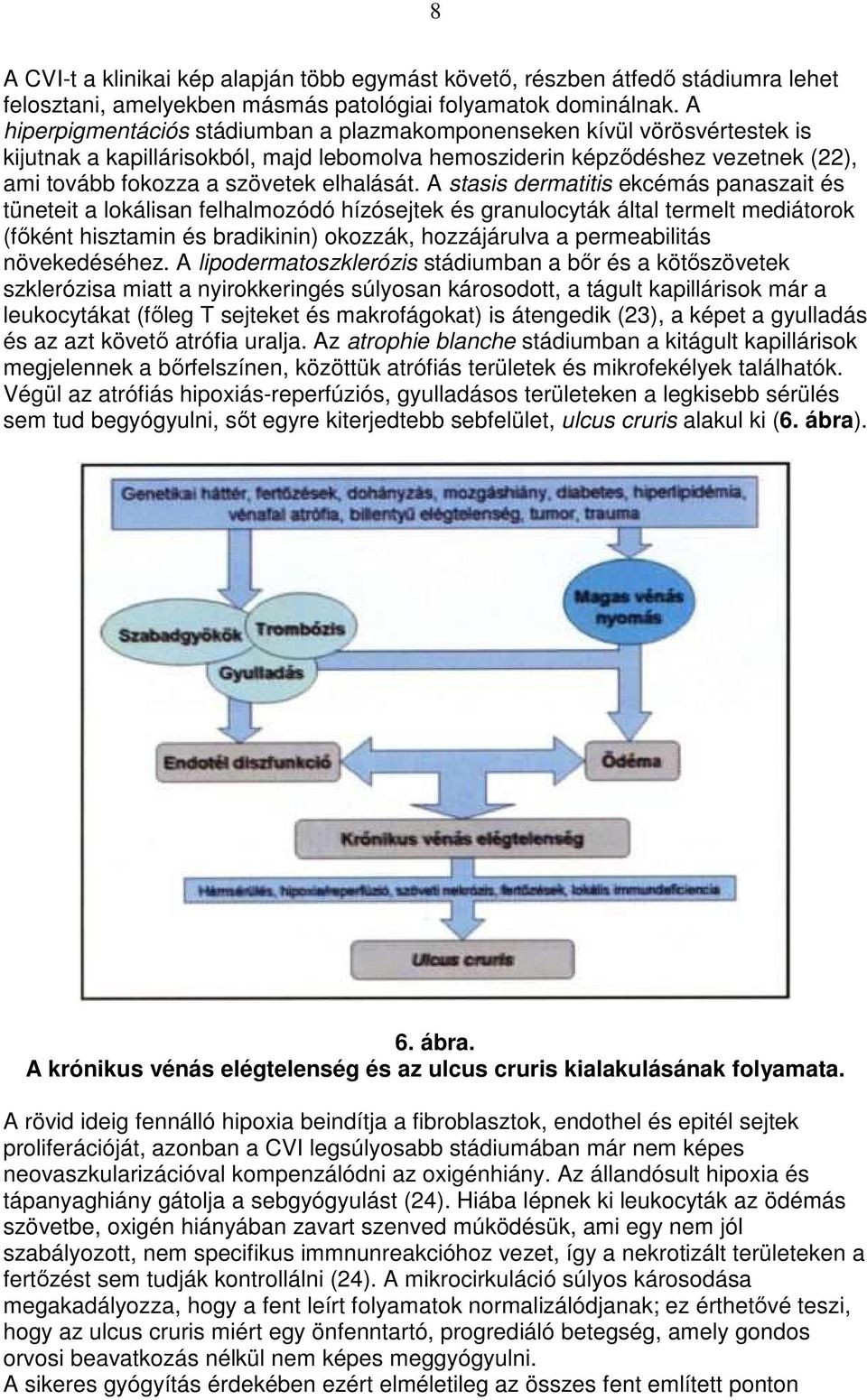 A stasis dermatitis ekcémás panaszait és tüneteit a lokálisan felhalmozódó hízósejtek és granulocyták által termelt mediátorok (fıként hisztamin és bradikinin) okozzák, hozzájárulva a permeabilitás