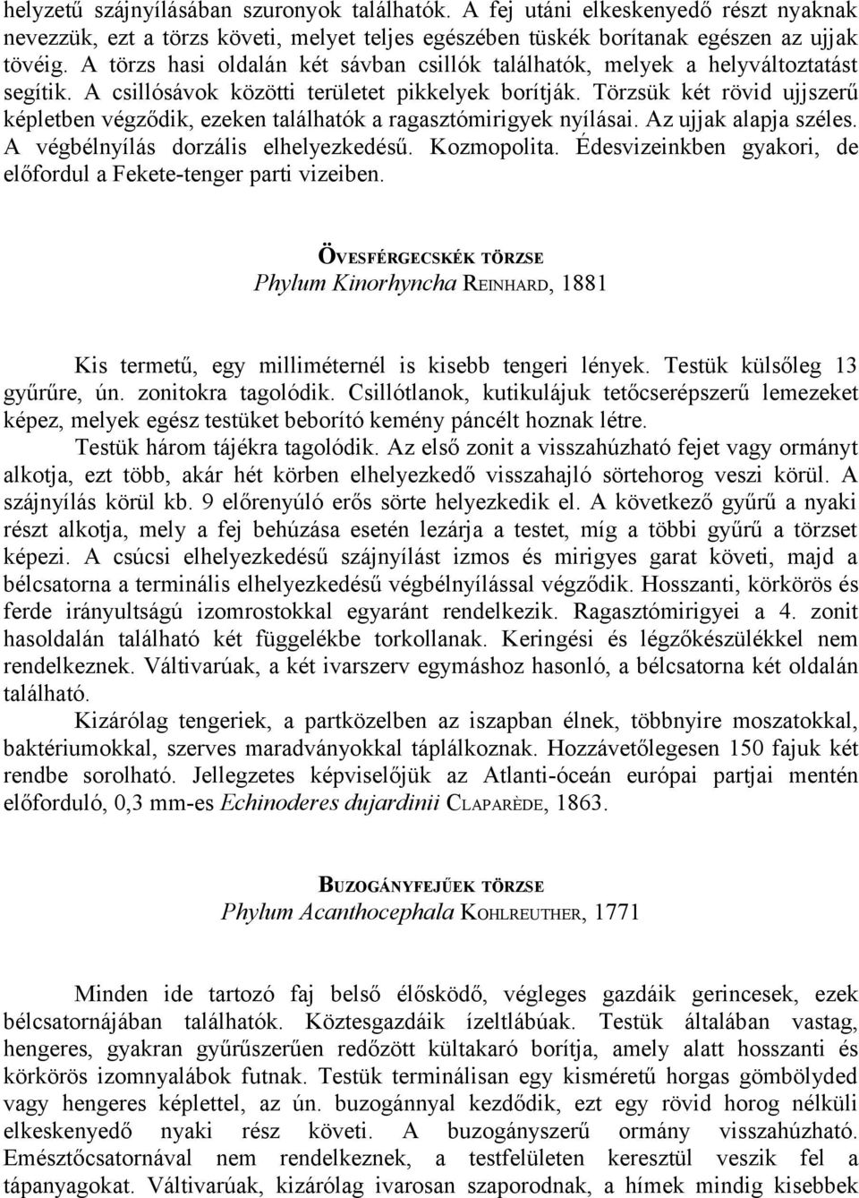 Törzsük két rövid ujjszerű képletben végződik, ezeken találhatók a ragasztómirigyek nyílásai. Az ujjak alapja széles. A végbélnyílás dorzális elhelyezkedésű. Kozmopolita.