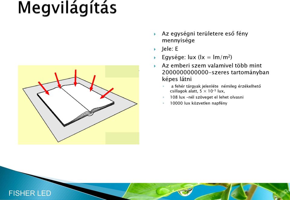 képes látni a fehér tárgyak jelenléte némileg érzékelhető csillagok alatt,